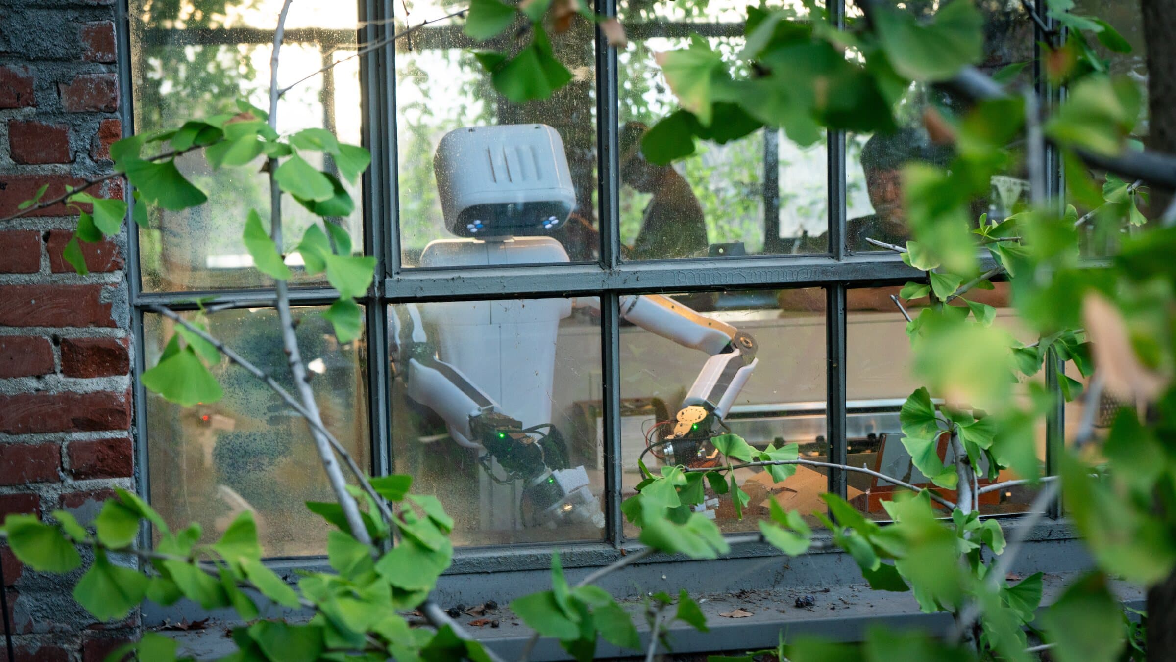 A white two-armed robot working at a bench, seen through a workshop window framed by ginkgo leaves.